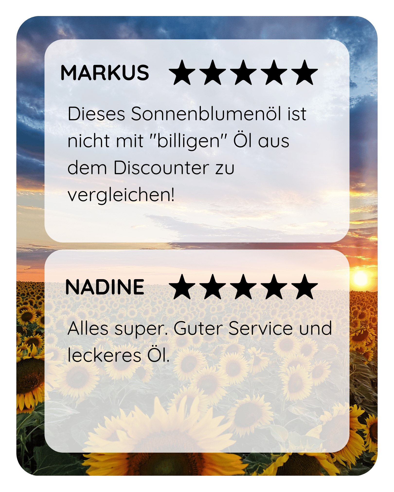 Bio Sonnenblumenl kaltgepresst | Handgemacht in Bayern OLIWA OLIWA Genuss GmbH Bio Sonnenblumenl kaltgepresst | Handgemacht in Bayern OLIWA OLIWA Genuss GmbH